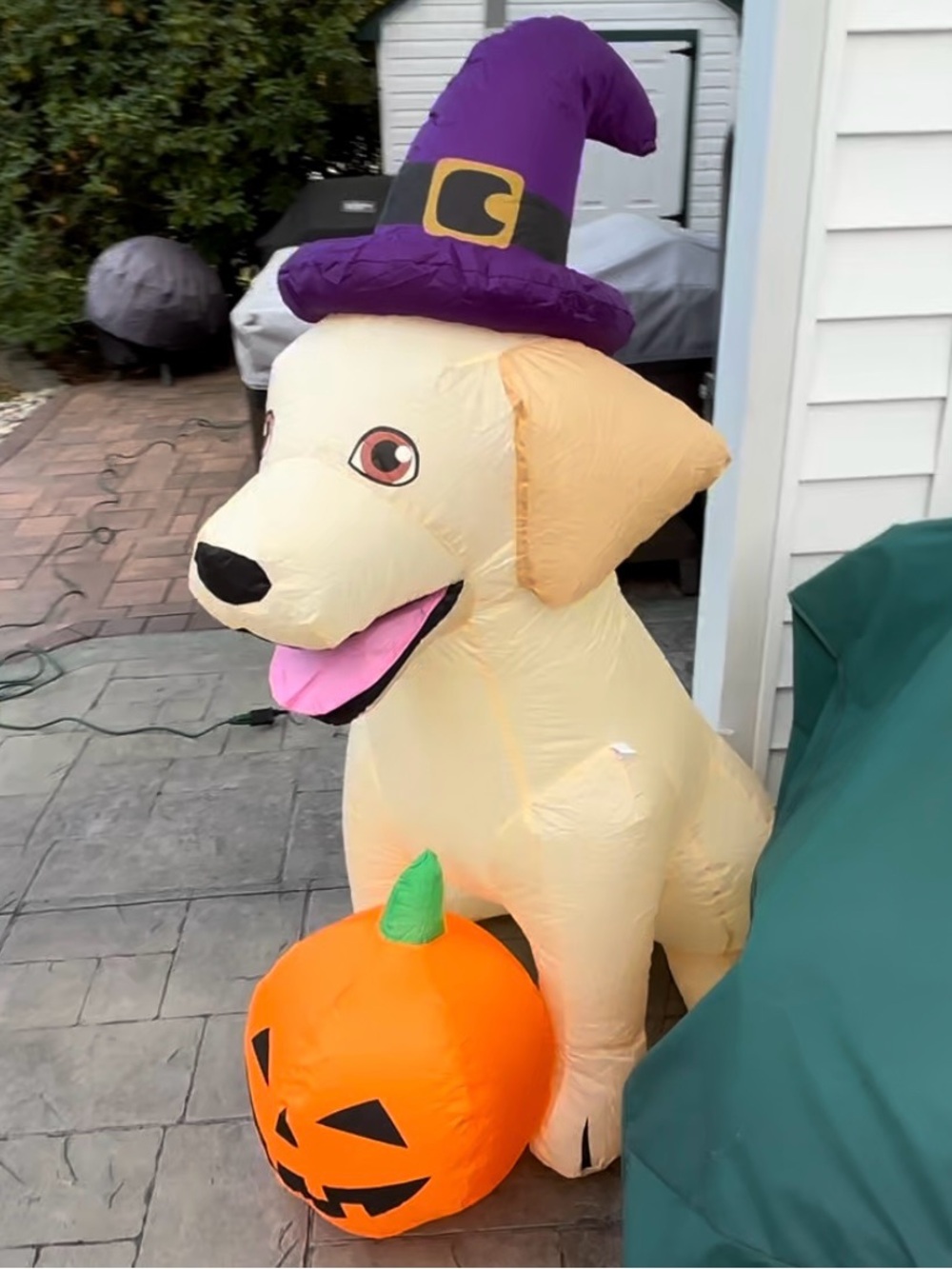 Halloween Labrador Dog Witch Pumpkin Inflatable 5 ft LED Light Yard Decor NEW